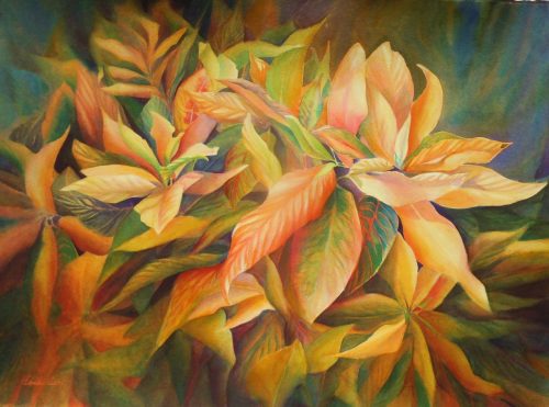 Which-is-the-Fairest-of-Them-All