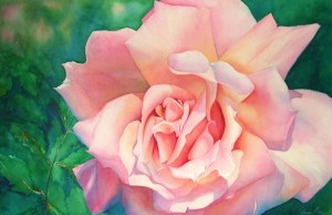 Garden Rose,  16" x 20",  20" x 28"