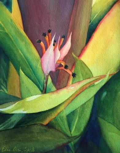 Hiding in the Leaves, watercolor, 16x20 framed