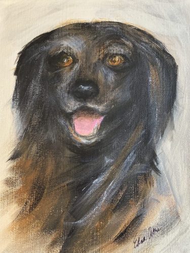 Finn - acrylic, 8x10 framed