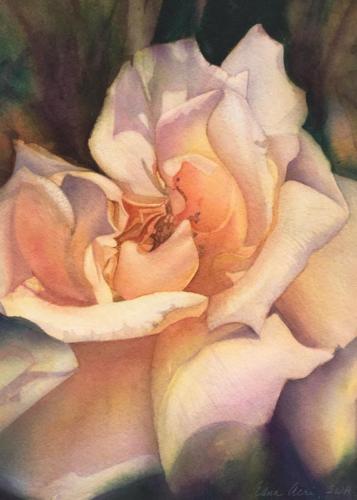 Such a Rose, Watercolor