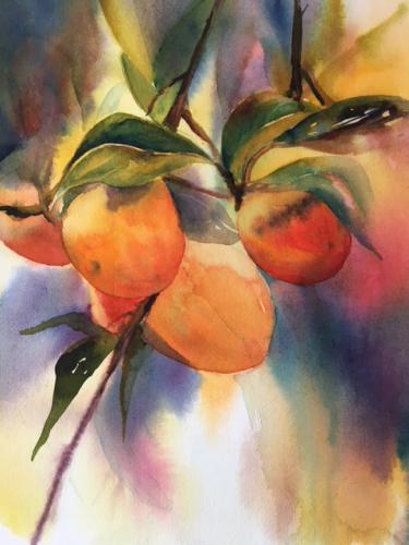 Persimmon - watercolor