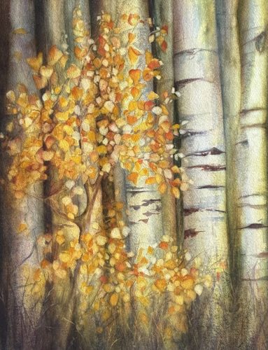 Seedling Among the Giants - watercolor on 16x20 wood panel