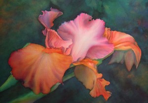 Shadowed Iris - watercolor