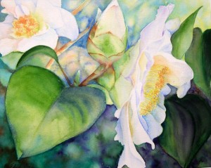 Shy Camelia - watercolor