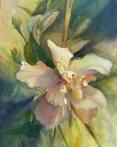 What a Show Off, watercolor, 16x20